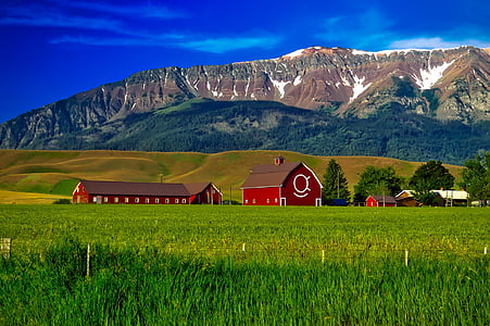 red wooden barn beside hill and mountain under blue sky thumbnail