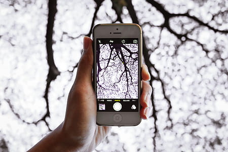 white iPhone 5 thumbnail