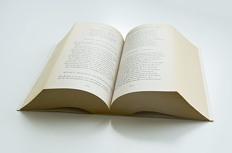 beige book page thumbnail