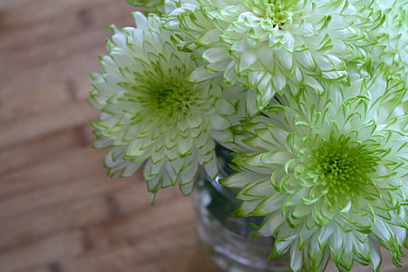 green and white flowers thumbnail