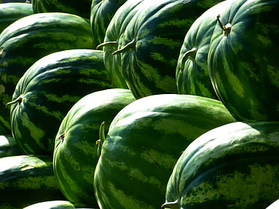 watermelon lot thumbnail