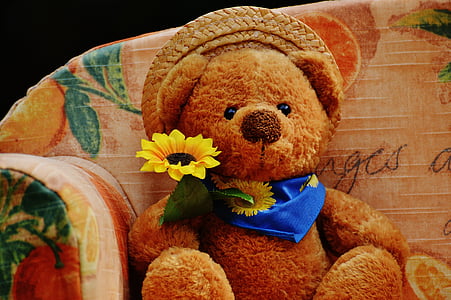 brown bear plush toy on armchair thumbnail