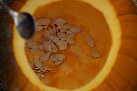 squash seed thumbnail