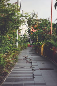 Brown Concrete Road thumbnail