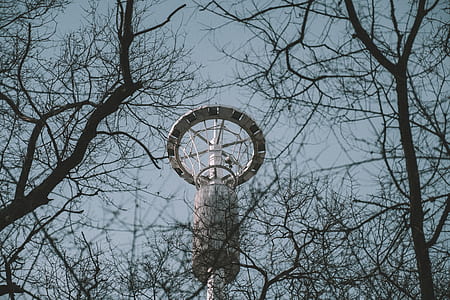 low angle photography of white tower and bare tress thumbnail