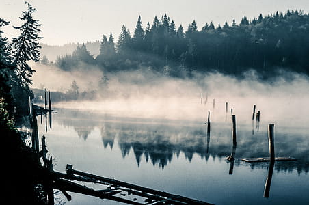 Mooring poles in the river thumbnail