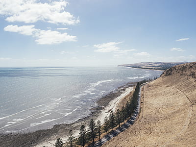 trees near body of water thumbnail