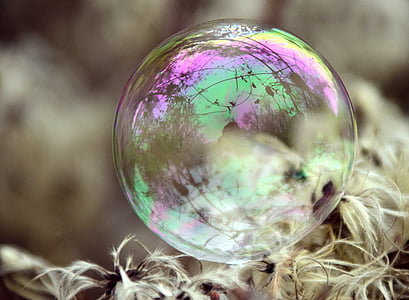selective focus photography of bubble thumbnail