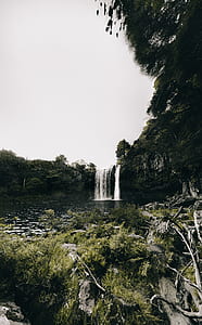 waterfall between green leafed trees during daytime thumbnail