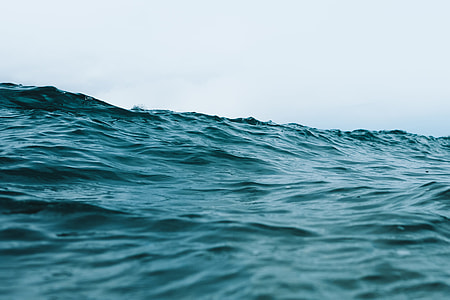 macro photography of body of water thumbnail