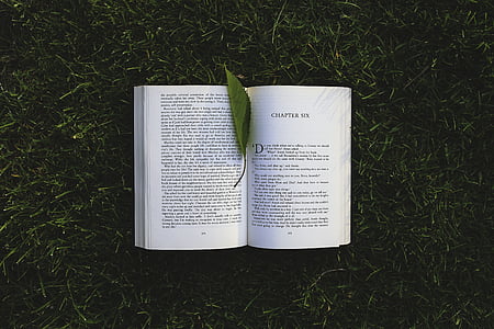 photo of opened book with leaf thumbnail