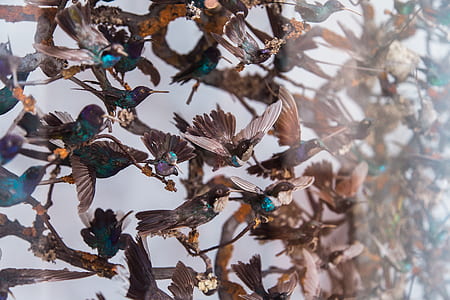 gray and teal bird decor lot thumbnail