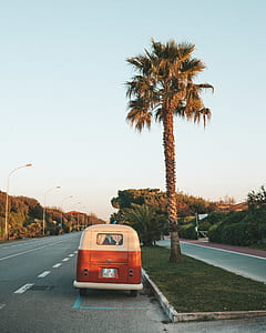 brown and white vehicle parked near palm tree on concrete road under clear sky \at daytime thumbnail