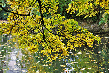 Golden October, Autumn Idyll thumbnail