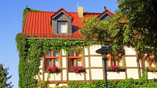 white and red house near street lamp at day time thumbnail