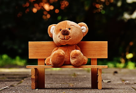 brown bear plush toy sitting on bench thumbnail