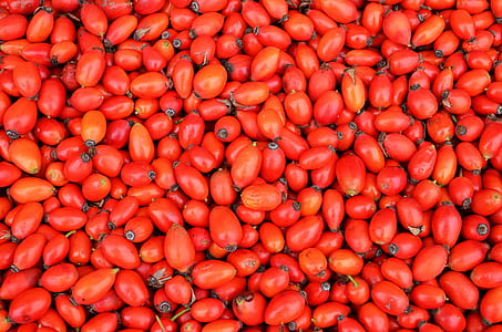 bunch of tomatoes thumbnail