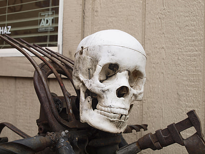 Skull And Crossbones, Motorcycle thumbnail