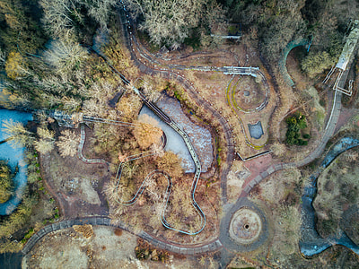 aerial view of trees and road thumbnail