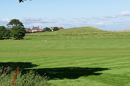 brown houses near open field thumbnail
