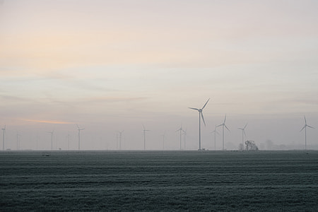 Wind turbines in a field thumbnail