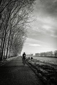 black-and-white, road, landscape, nature thumbnail