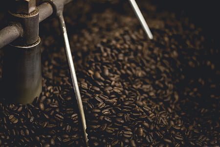 roasted coffee beans closeup photo thumbnail