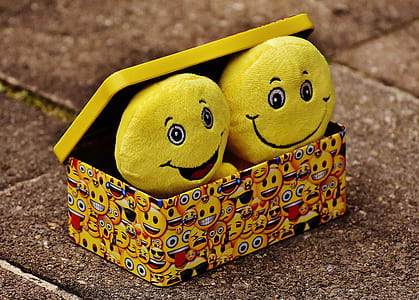 two yellow emoticon plush toys inside box on gray brick pavement thumbnail