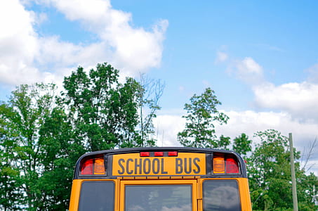 yellow School bus near trees during daytime thumbnail