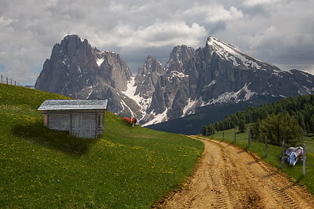 white wooden shed on hill near mountain range with snow thumbnail