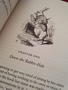 Alice in Wonderland book thumbnail