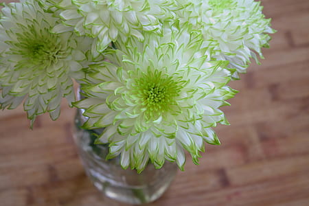 green and white dahlia flower arrangement in vase thumbnail