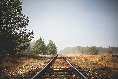 train rail surrounded by trees thumbnail