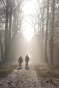 two silhouette person walking through the path between of forest field thumbnail