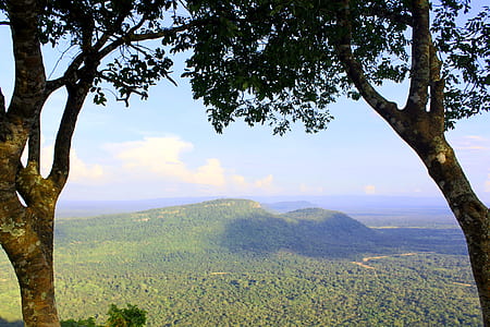 mountains, nature, sky, trunks thumbnail