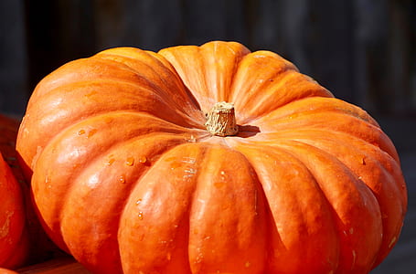 closeup photo of orange pumpkin thumbnail