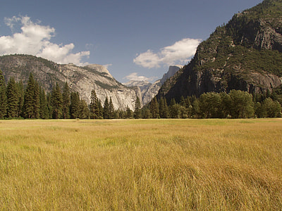 grass field near mountain range thumbnail