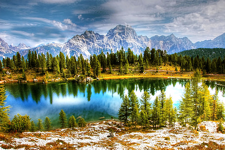 photo of body of water near forest during daytime thumbnail