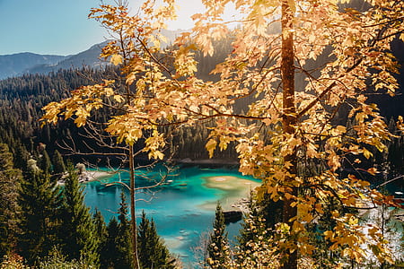 landscape photography of lake surrounded with trees thumbnail
