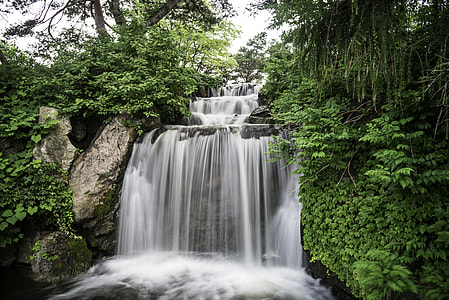 Beautiful Waterfall in the Chicago Botanical Gardens thumbnail