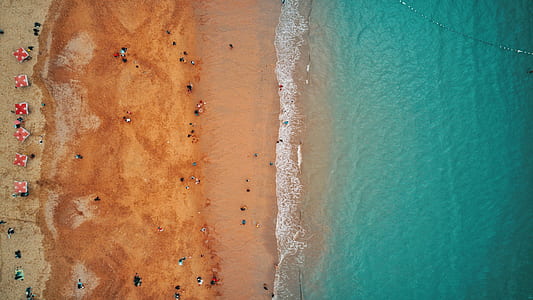 aerial photography of people near sea shore thumbnail