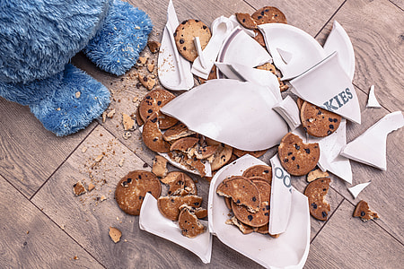broken white ceramic bowl with brown cookies thumbnail
