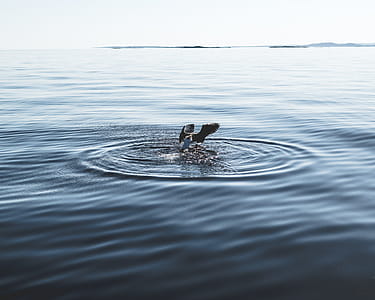 Body of Water Photography thumbnail