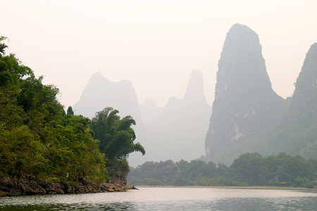 tree island surrounded with wter thumbnail