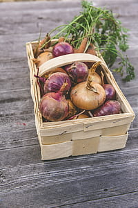 shallots in basket thumbnail