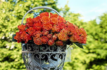 red rose flowers on white metal basket thumbnail