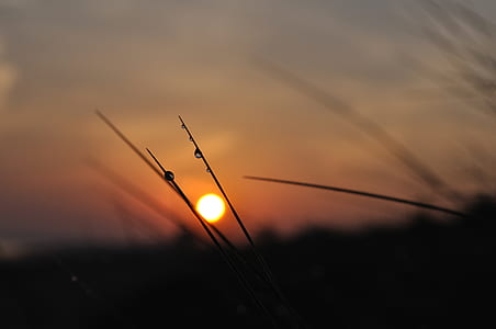 light, dawn, landscape, nature thumbnail