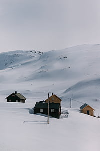 four houses surrounded by snow thumbnail