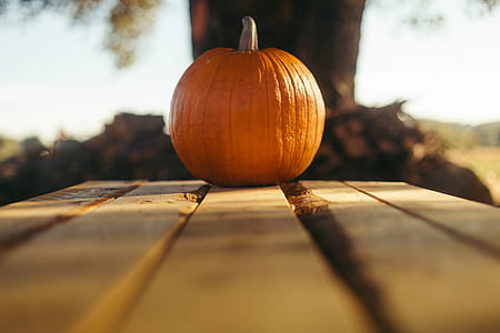 selective focus photo of pumpkin on brown wooden table thumbnail