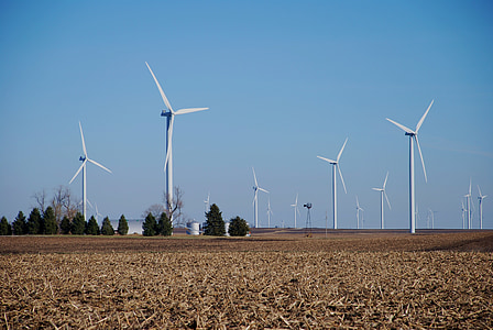 white windmills beside trees during daytime thumbnail